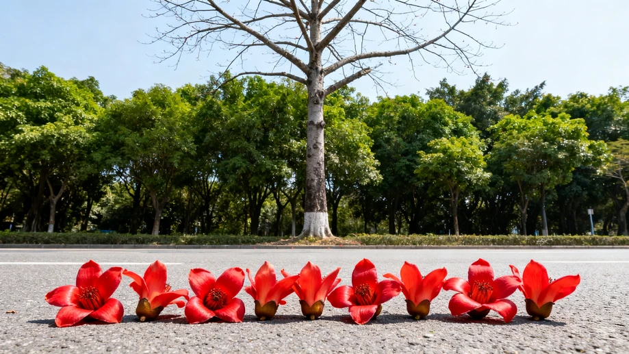 Have You Ever Noticed That Fully Bloomed Kapok Flowers Never Land Face Down When They Fall From Tall Sturdy Branches